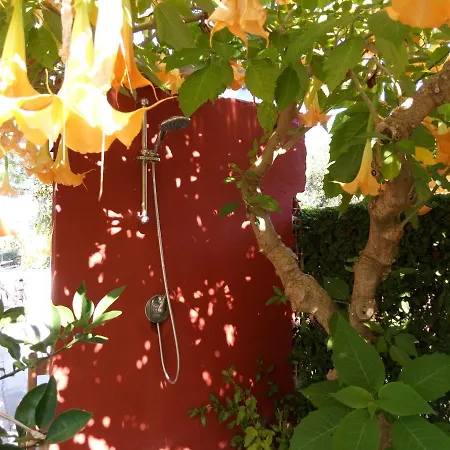 Apartment La Madonnina *