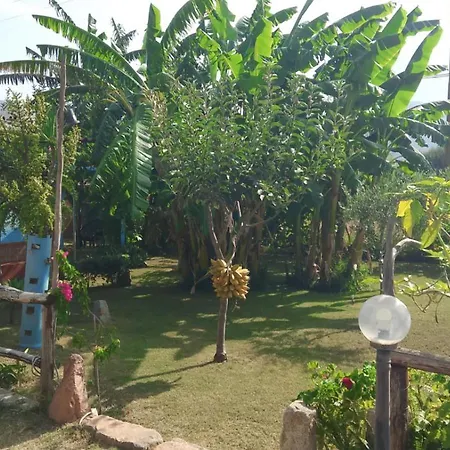 Apartment La Madonnina