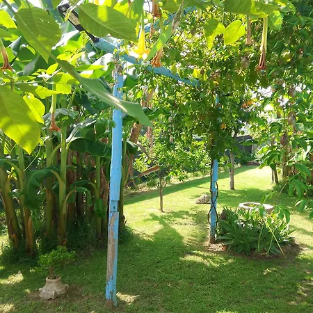 Daire L'oasi-bungalow La Madonnina