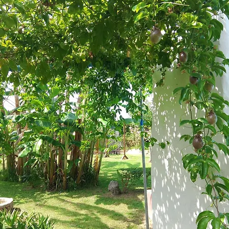 L'oasi-bungalow La Madonnina Apartmán