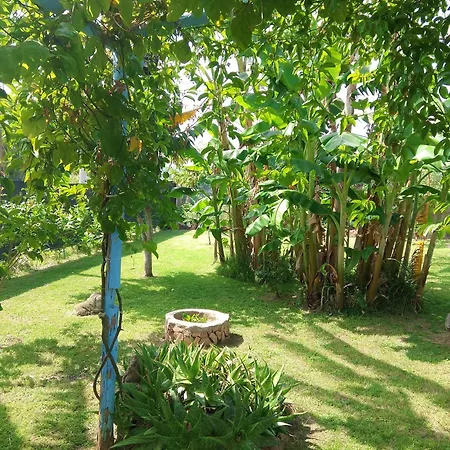 L'oasi-bungalow La Madonnina Apartment Cardedu