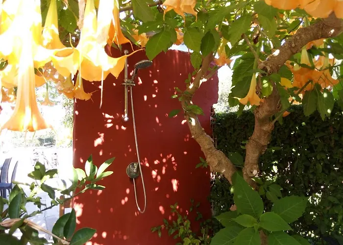Apartamento L'oasi-bungalow La Madonnina *