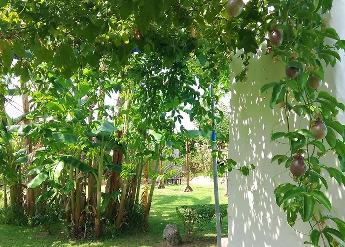 L'oasi-bungalow La Madonnina Apartamento